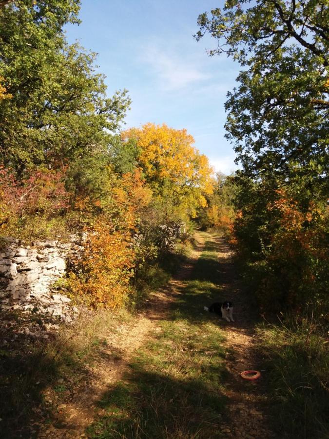 Les Trois Prunelles Saint-Pierre-Toirac Kültér fotó