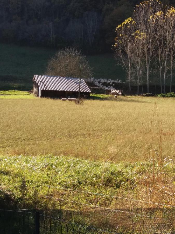 Les Trois Prunelles Saint-Pierre-Toirac Kültér fotó