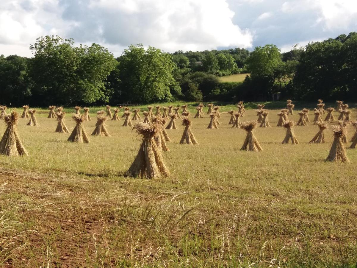 Les Trois Prunelles Saint-Pierre-Toirac Kültér fotó